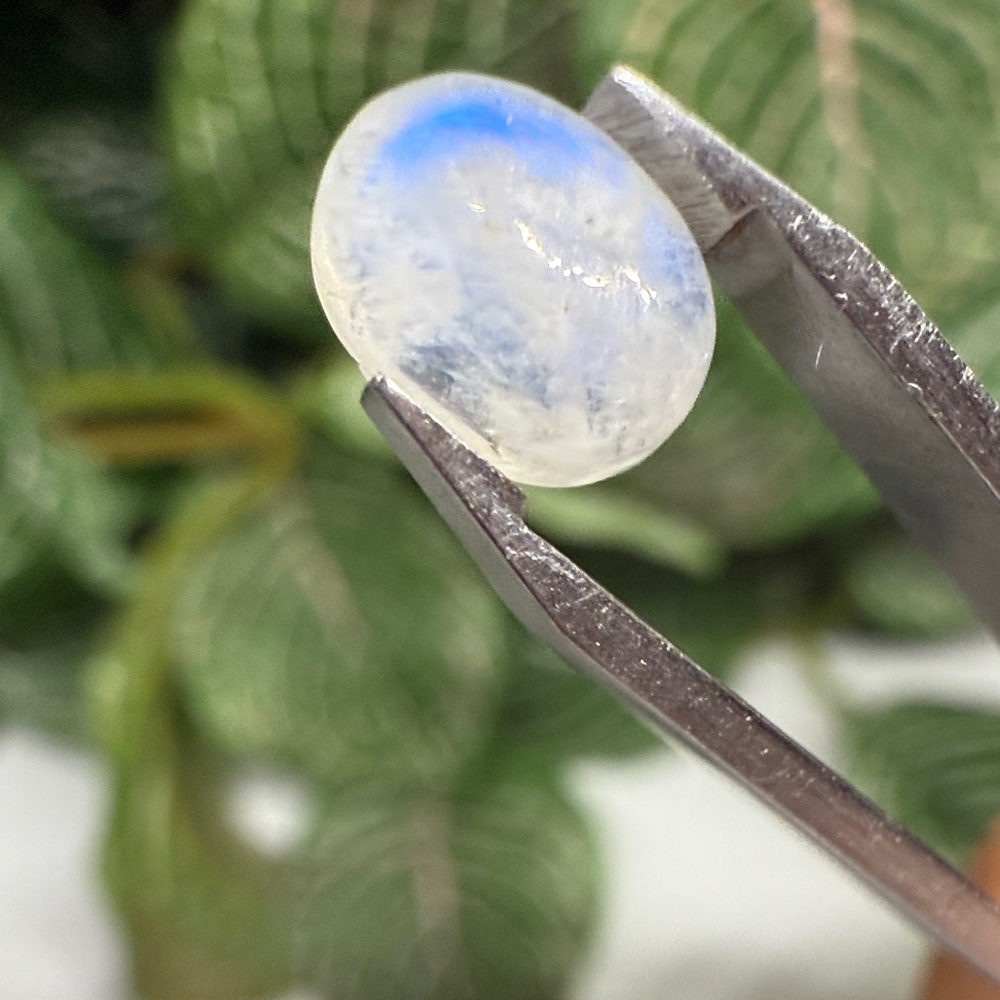Rainbow Moonstone Cabochon
